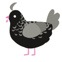 Lenticular Galaxy, a sable and ash chicken with a half-lace pattern