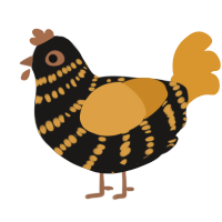 (unnamed), a sable and orange chicken with a bar pattern