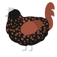 (unnamed), a sable and russet chicken with a speckle pattern