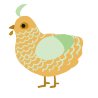 Gold-Magnet, a honey and gluppy chicken with a lace pattern