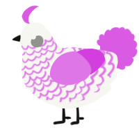 (unnamed), a white and orchid chicken with a lace pattern