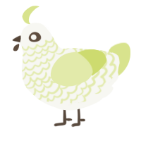Lacey Lace, a white and lemon chicken with a lace pattern