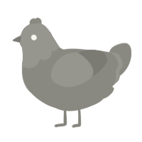 ash xxx, a ash chicken with a head pattern