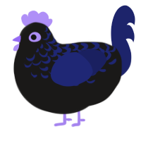 Forget me not, a sable and navy chicken with a half-lace pattern