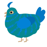 Calvin, a teal and sapphire chicken with a bar pattern