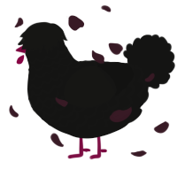 (unnamed), a black chicken with a lace pattern