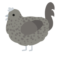 (unnamed), a ash and grey chicken with a speckle pattern