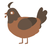 Soft Soil, a brown and bark chicken with a head pattern