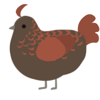 Volcano, a bark and russet chicken with a half-lace pattern