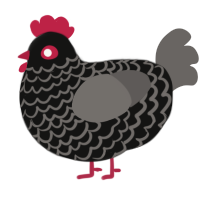 (unnamed), a black and grey chicken with a lace pattern