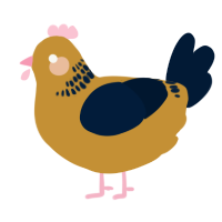 Professor, a gold and tumblr chicken with a neck-band pattern