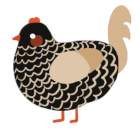 A black and beige chicken with a lace pattern
