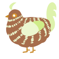 shankling 5, a brown and apple chicken with a bar pattern