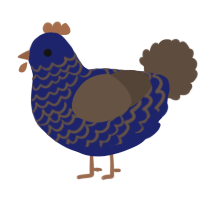 Enigma, a navy and bark chicken with a lace pattern