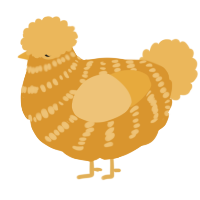 (unnamed), a orange and honey chicken with a bar pattern
