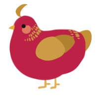 Cider, a crimson and gold chicken with a neck-band pattern
