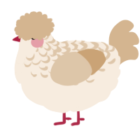 Crepe, a cream and beige chicken with a half-lace pattern
