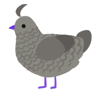A ash and grey chicken with a lace pattern
