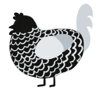 blackberry smoothie, a black and mist chicken with a lace pattern