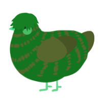 (unnamed), a leaf and olive chicken with a bar pattern