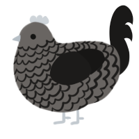 Thanatophobia, a grey and sable chicken with a lace pattern