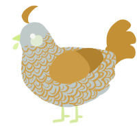 Golden Hour, a silver and gold chicken with a double-lace pattern