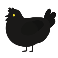 O-02-40, a sable and black chicken