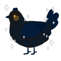 Black Hole, a sable and tumblr chicken with a double-lace pattern