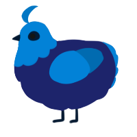 Miles, a navy and sapphire chicken with a head pattern
