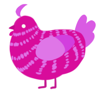 xyx fuchsia, a fuchsia and orchid chicken with a bar pattern