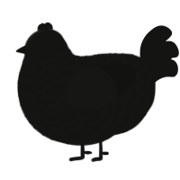 Khaos, a black chicken with a lace pattern