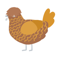 A brown and orange chicken with a lace pattern