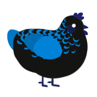 Micro-Organism, a black and sapphire chicken with a half-lace pattern