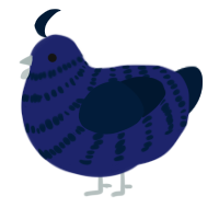 Filthy Raven, a navy and tumblr chicken with a bar pattern