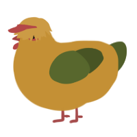A gold and olive chicken