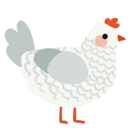 A white and silver chicken with a lace pattern