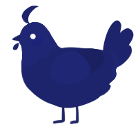 (unnamed), a navy chicken with a head pattern