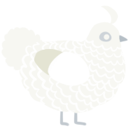 White Mold, a white chicken with a lace pattern