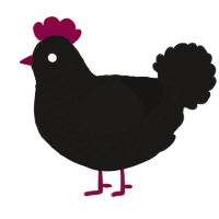 Obsidian, a sable chicken with a lace pattern