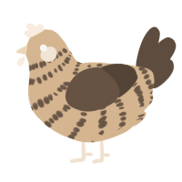 A beige and bark chicken with a bar pattern