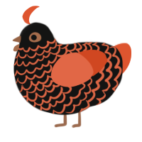 (unnamed), a black and vermilion chicken with a lace pattern