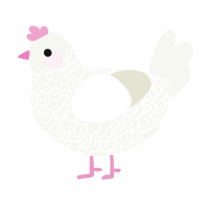 Linen, a white chicken with a double-lace pattern