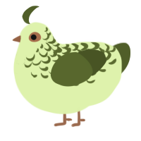 kiwi limeade, a apple and olive chicken with a half-lace pattern