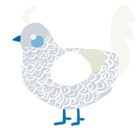 A mist and white chicken with a double-lace pattern