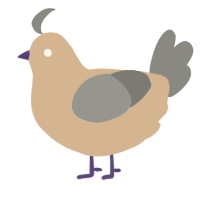 A beige and ash chicken