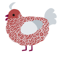 Butcher Vanity, a red and mist chicken with a double-lace pattern