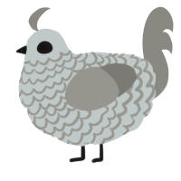 static, a silver and ash chicken with a lace pattern