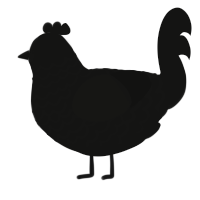 A black chicken with a lace pattern