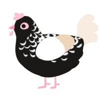Magpie, a sable and cream chicken with a half-lace pattern