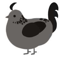 A pile of dust, a grey and sable chicken with a neck-speckle pattern